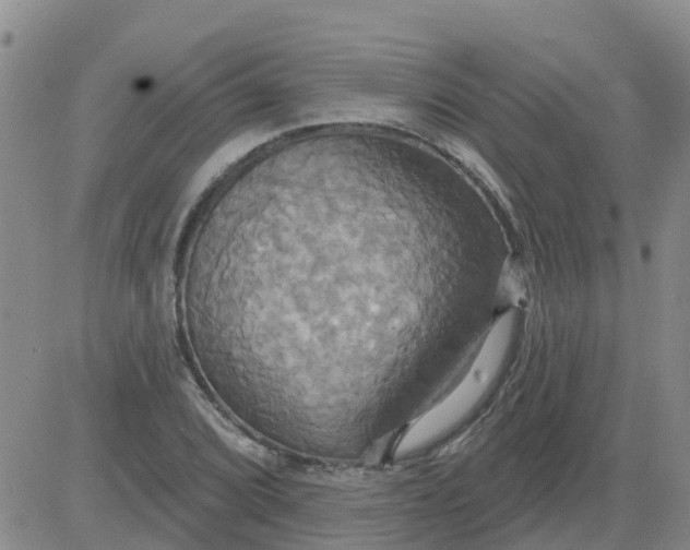 X0000084021072200703022051