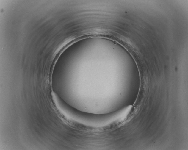 X0000084021073200703022051