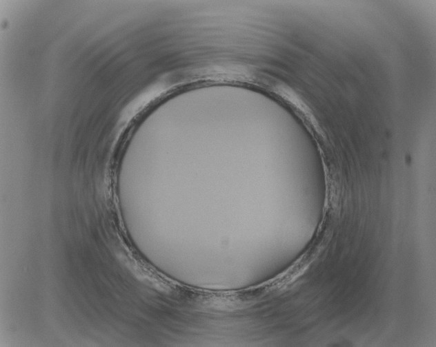 X0000084021074200703022051