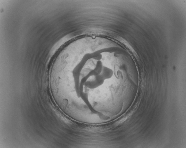 X0000084021075200703022051