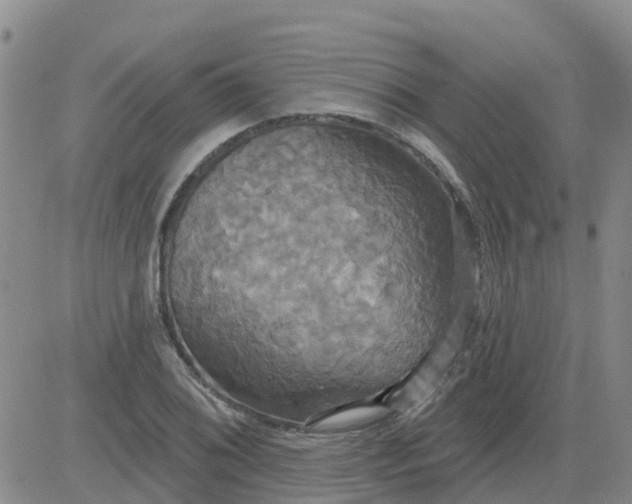 X0000084021076200703022051