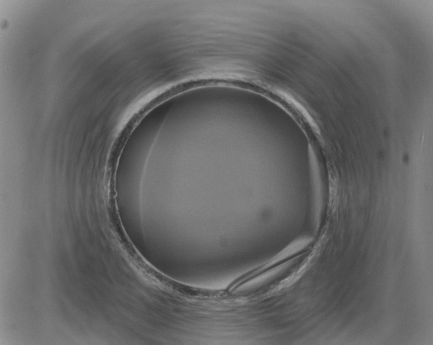 X0000084021077200703022051