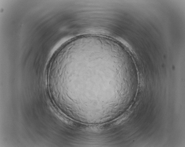 X0000084021078200703022051