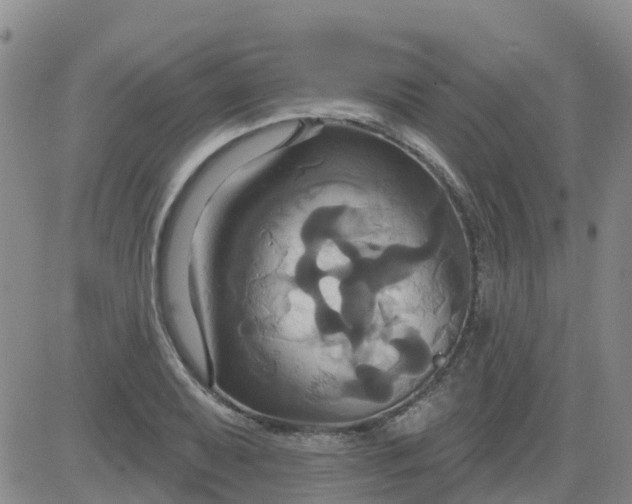 X0000084021079200703022051