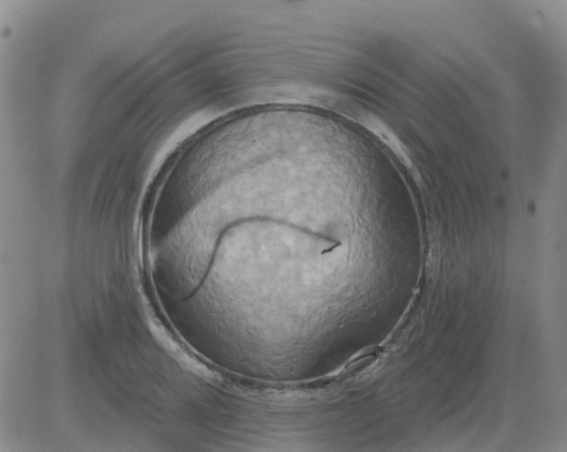 X0000084021080200703022051