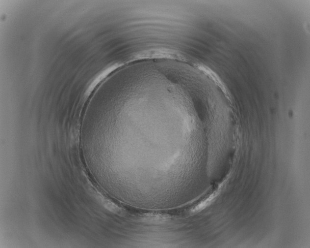 X0000084021081200703022051