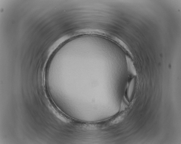 X0000084021082200703022051