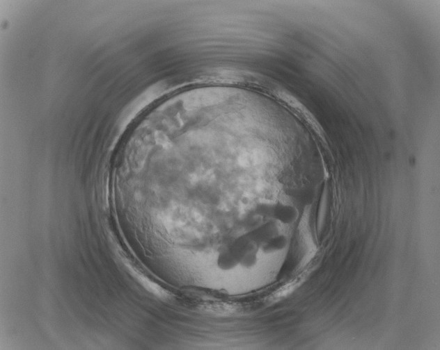 X0000084021083200703022051