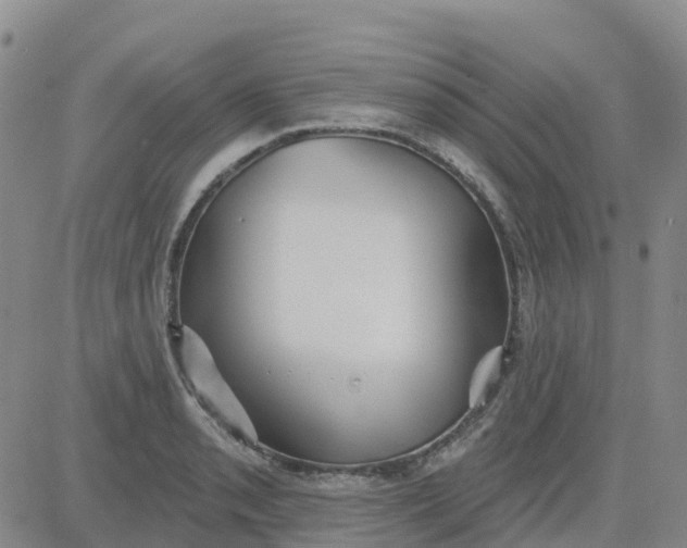 X0000084021085200703022051