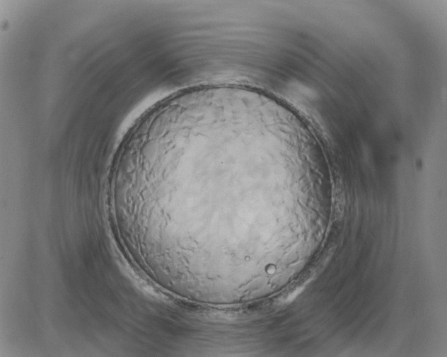 X0000084021086200703022051