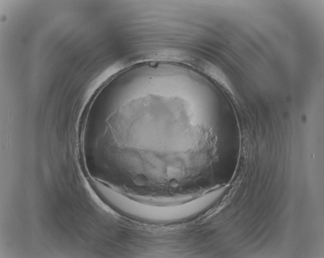 X0000084021087200703022051