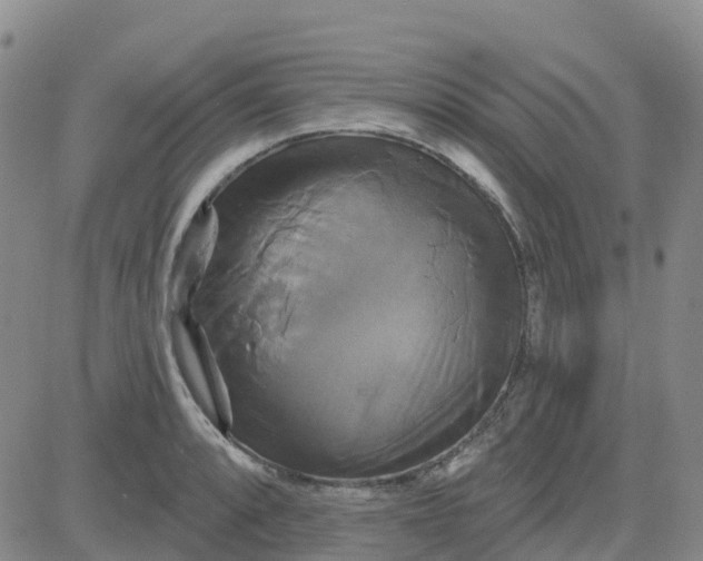 X0000084021088200703022051