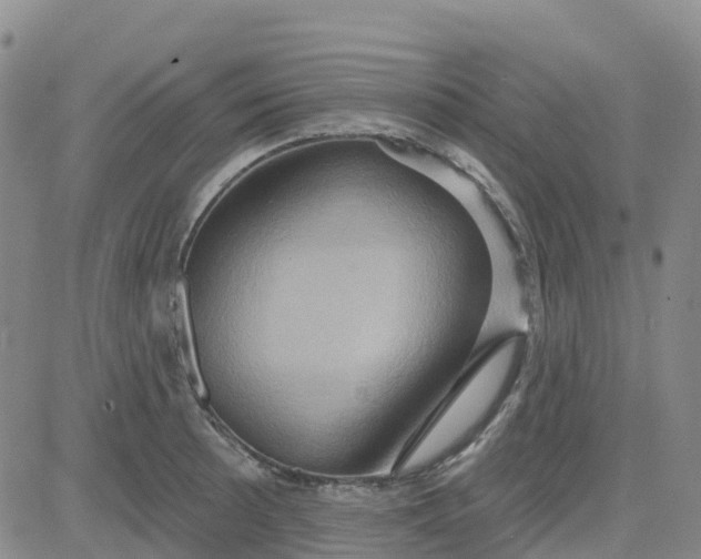 X0000084021089200703022051