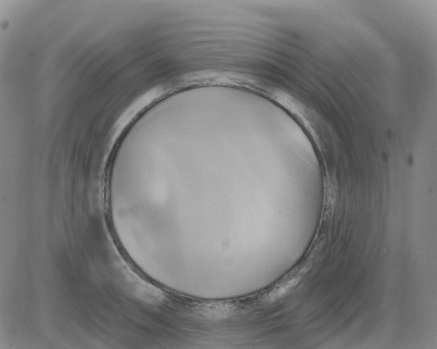 X0000084021090200703022051