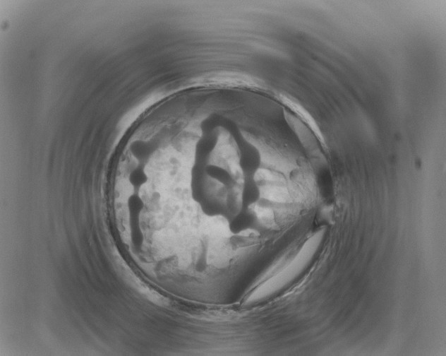 X0000084021091200703022051