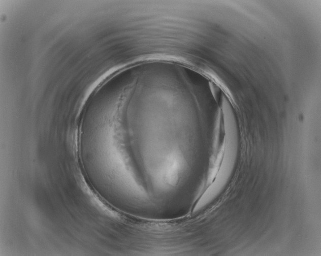 X0000084021092200703022051