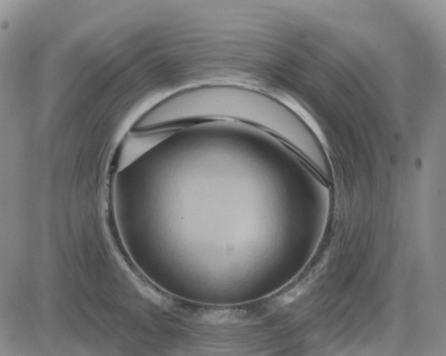 X0000084021093200703022051