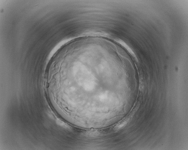 X0000084021094200703022050