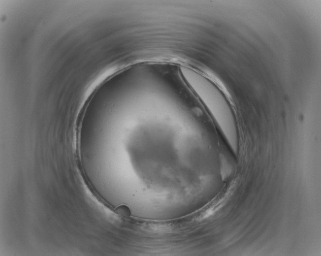 X0000084021095200703022050