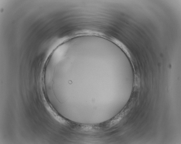 X0000084021098200703022050