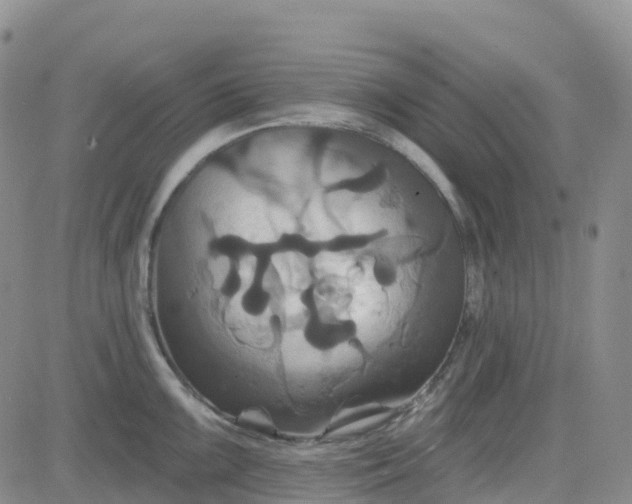 X0000084021099200703022050