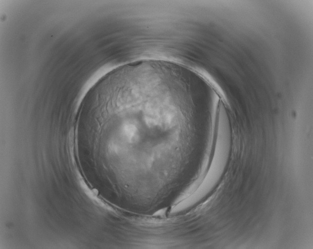 X0000084021100200703022050