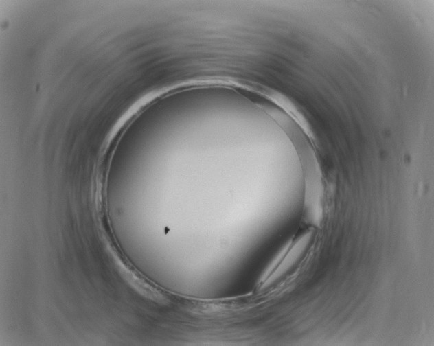 X0000084021101200703022050