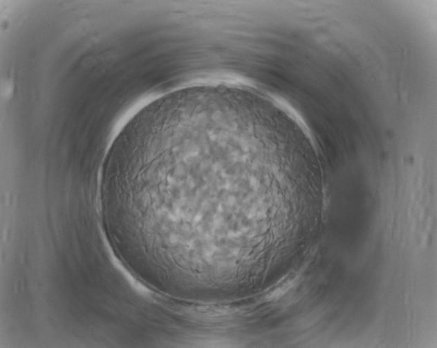 X0000084021103200703022050