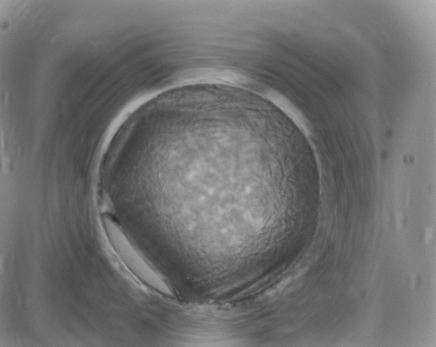 X0000084021104200703022050