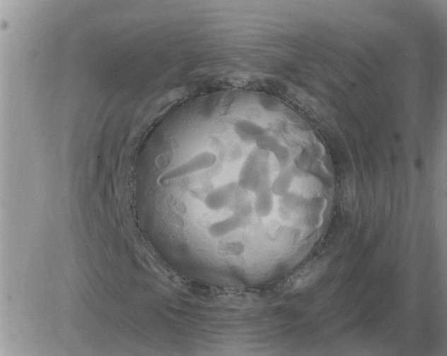 X0000084021105200703022050