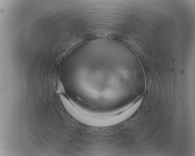 X0000084021106200703022050