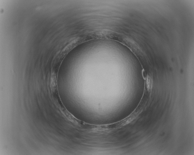 X0000084021107200703022050