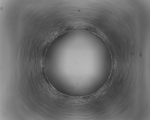 X0000084021108200703022050