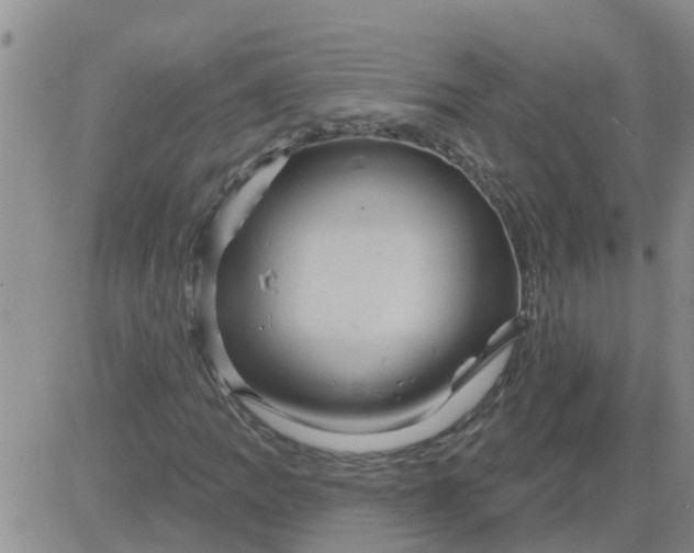 X0000084021109200703022050