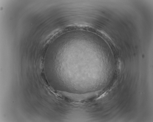 X0000084021110200703022050