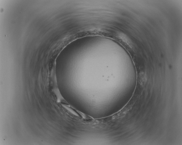 X0000084021111200703022050