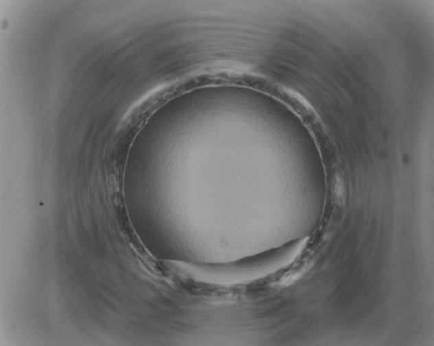 X0000084021112200703022050