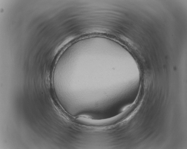 X0000084021113200703022050