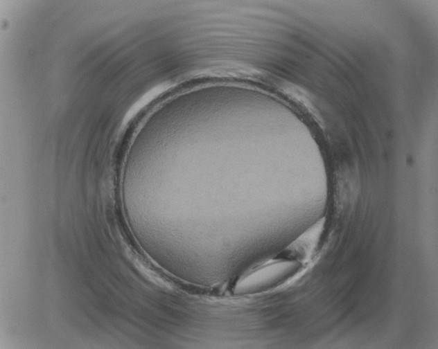 X0000084021114200703022050