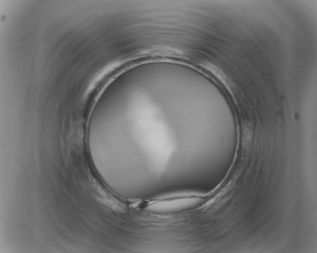 X0000084021115200703022050