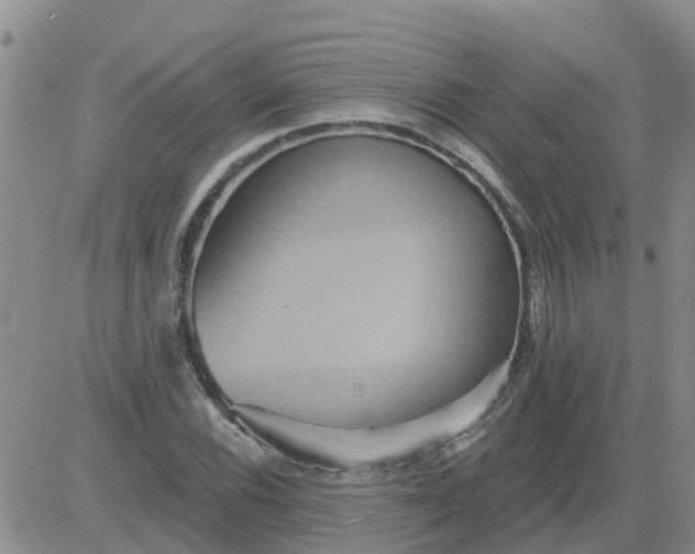 X0000084021116200703022050