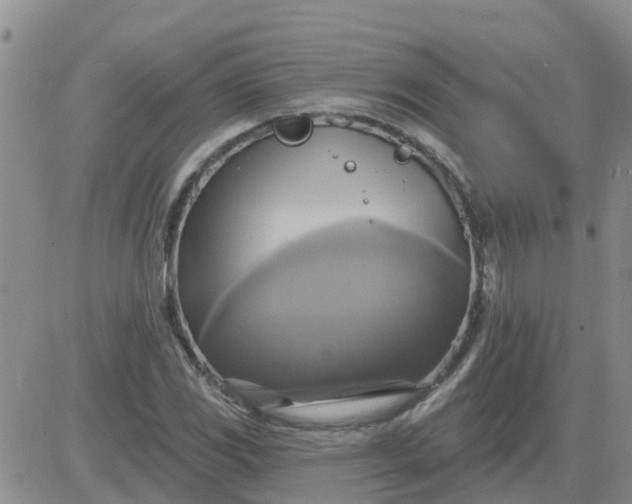 X0000084021117200703022050