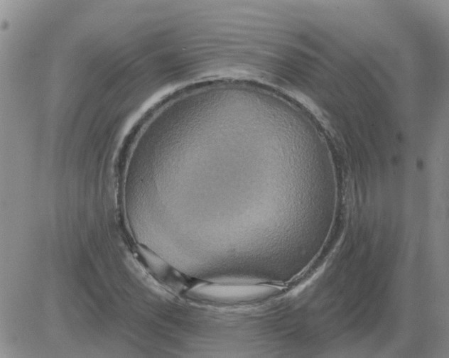 X0000084021118200703022050