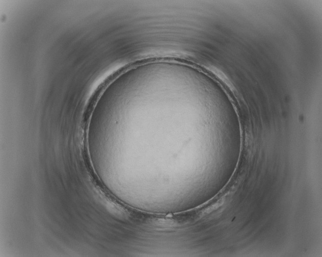 X0000084021119200703022050