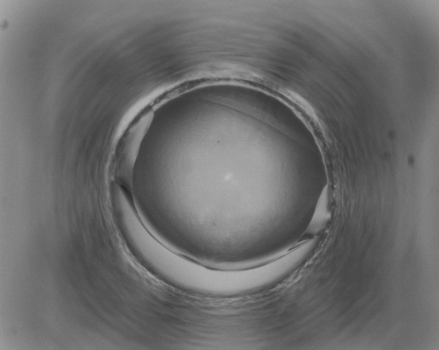 X0000084021120200703022050