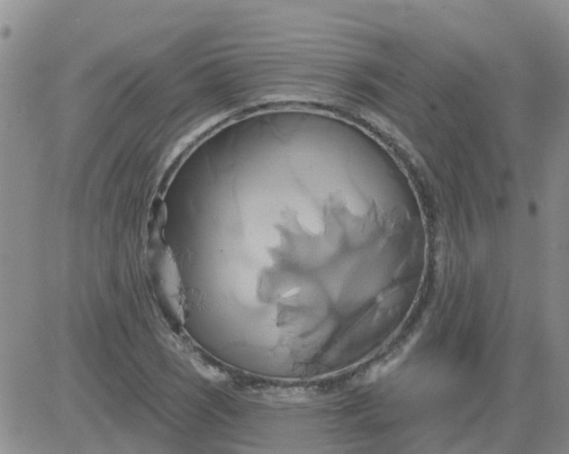 X0000084021121200703022050