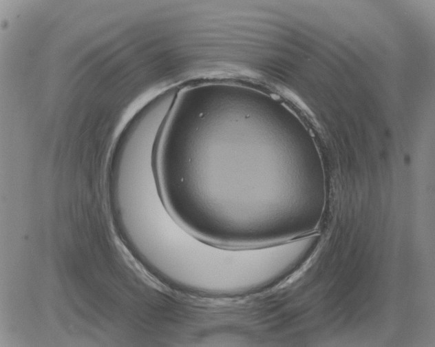 X0000084021122200703022050