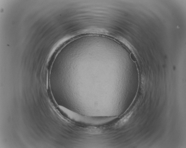 X0000084021123200703022050