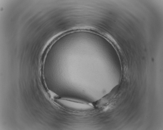 X0000084021124200703022050