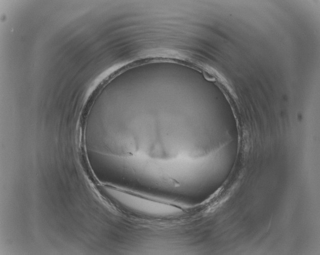 X0000084021125200703022050